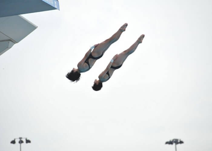 FINA World Cup diving
