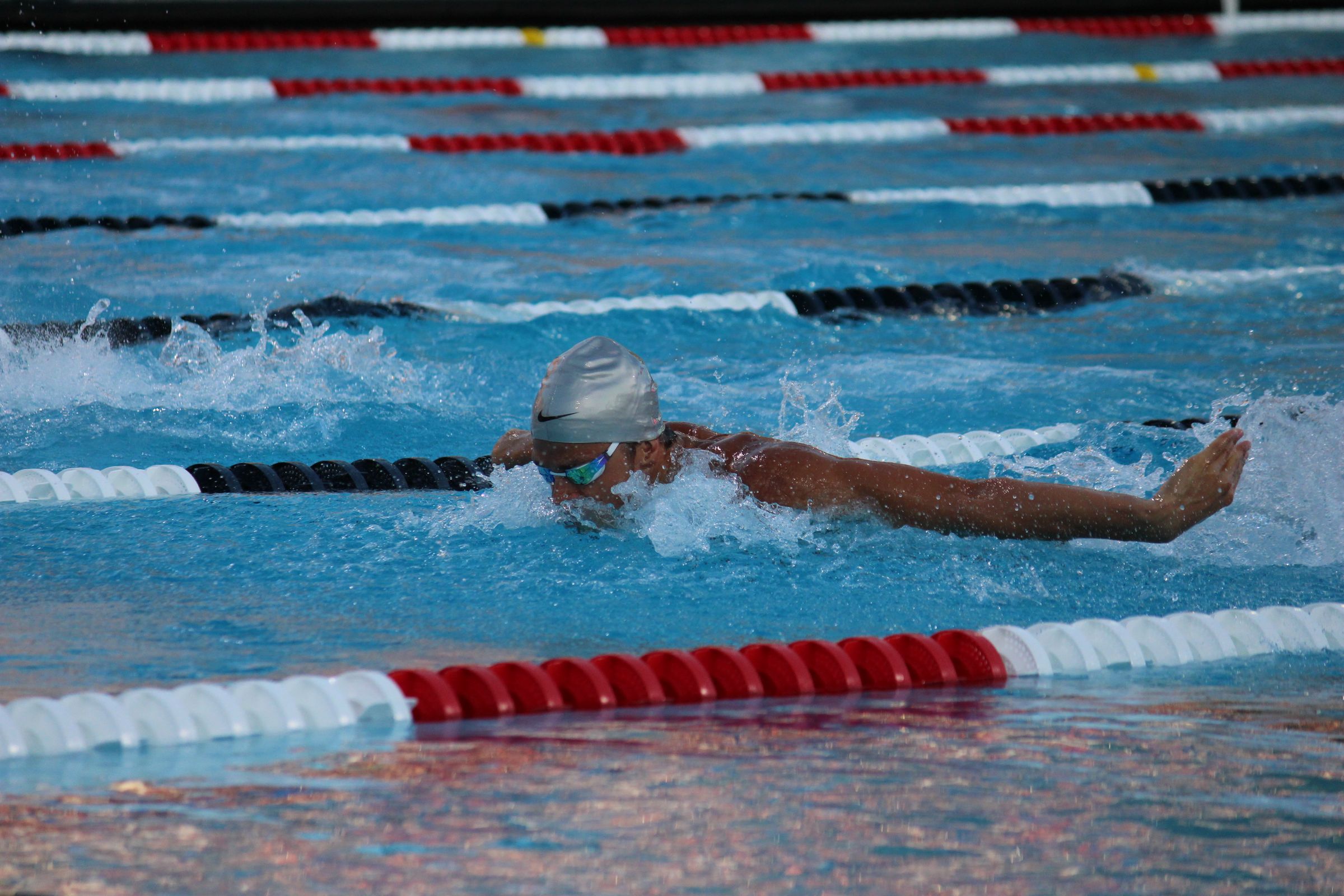 Usa Swimming Junior Nationals Day Prelims Recap