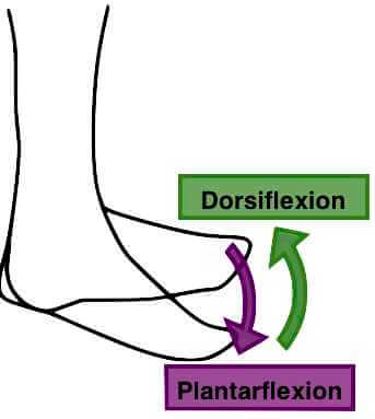 plantarflexion-dorsiflexion