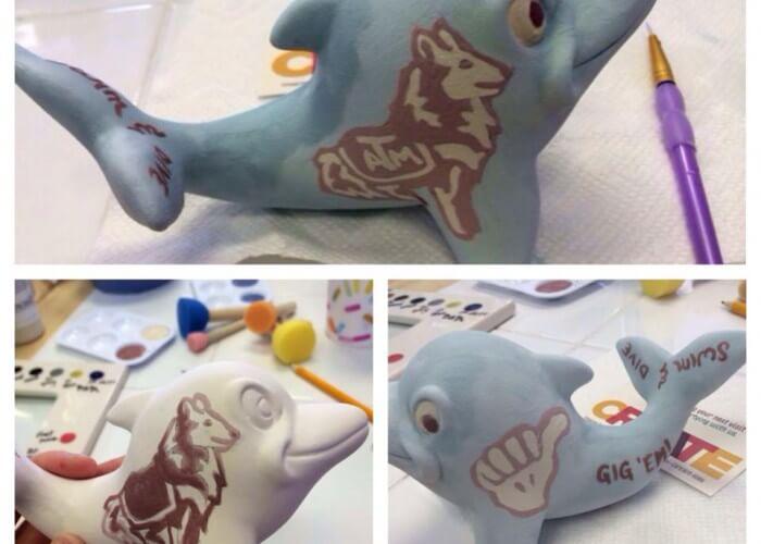 craft dolphin