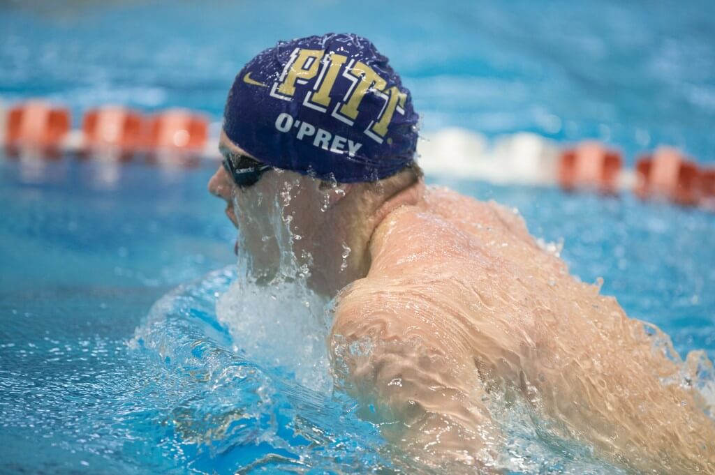 Knoxville, TN - December 7, 2013: University of Pittsburgh Swimmerduring the 2013 AT&T Swimming Winter National Championships on December 7, 2013 in Knoxville, Tennessee at the Allan Jones Aquatic Center. Photo By Matthew DeMaria/Tennessee Athletics