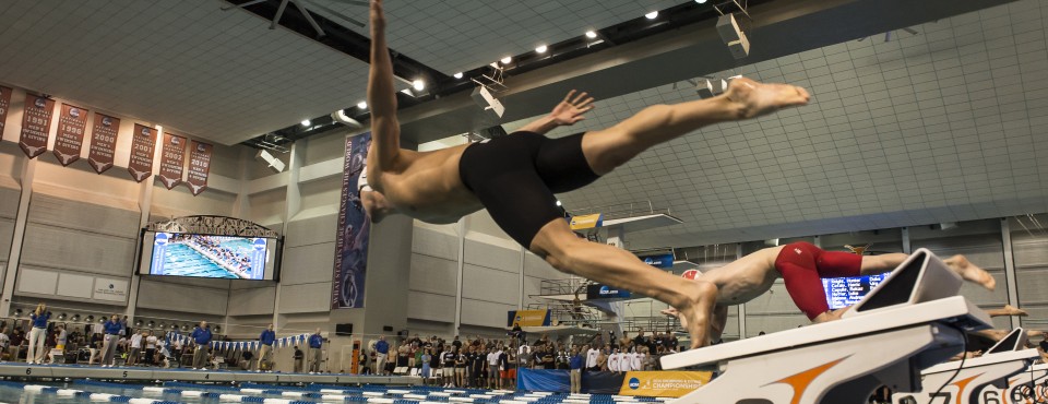 NCAA Men's DI Swimming And Diving Championships