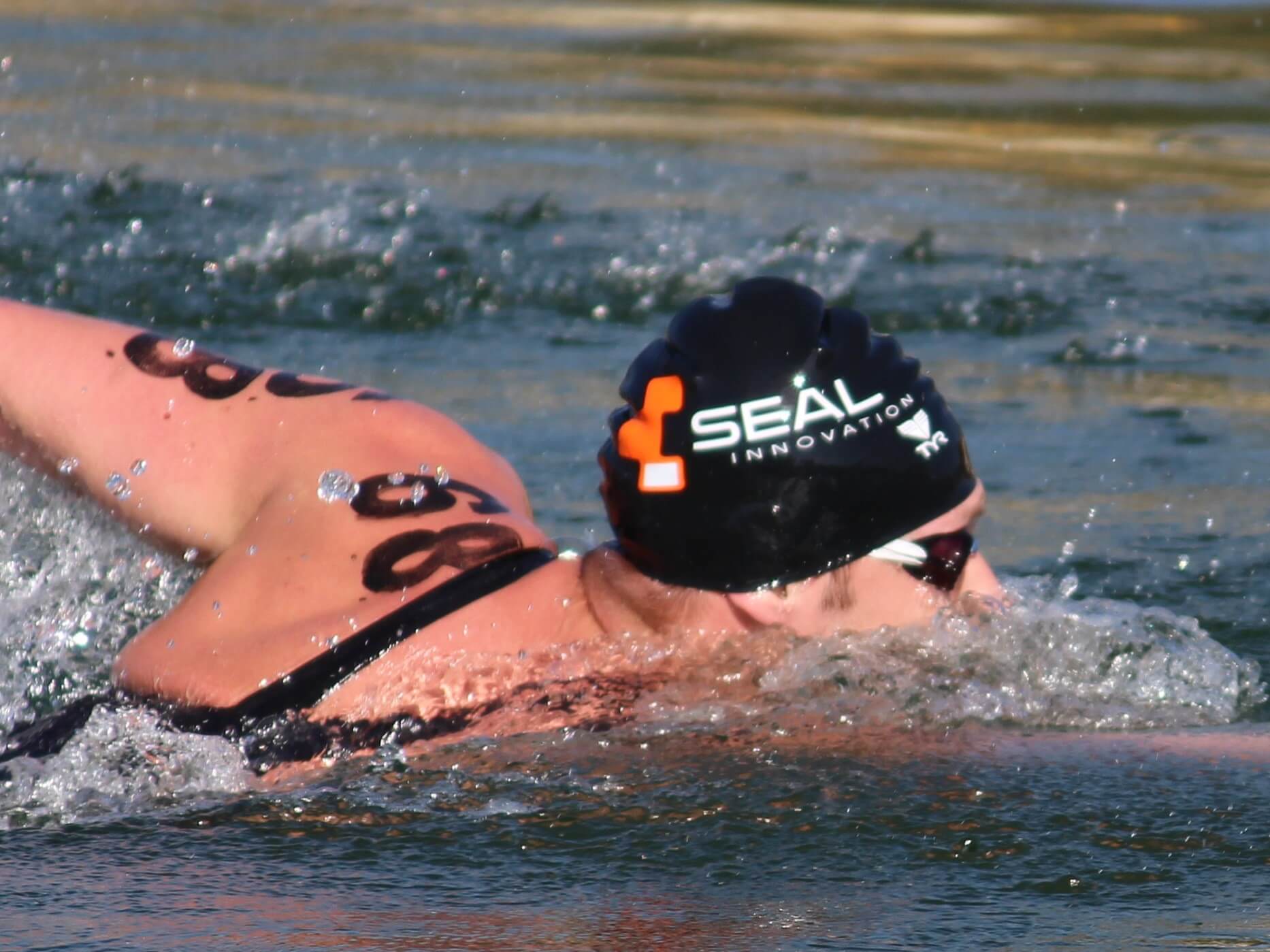 La International Marathon Swimming Hall of Fame annuncia la classe del 2026 La International Marathon Swimming Hall of Fame annuncia la classe del 2026