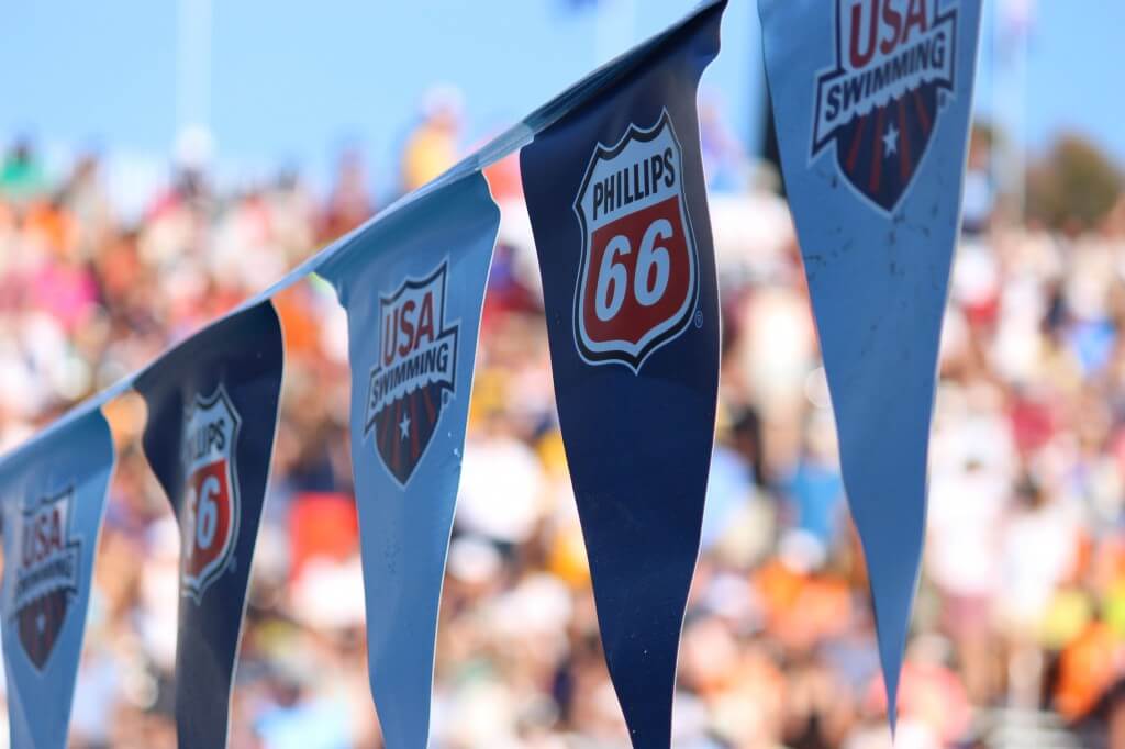 USA Swimming logo on flags