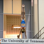 KNOXVILLE, TN - July 31, 2014: Lucy Roberts dives from the platforms during the 2014 USA Diving Age Group and Junior National Event at Allan Jones Aquatic Center in Knoxville, TN. Photo By Matthew S. DeMaria