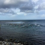 St. Kitts Yacht Club Peninsula Swim