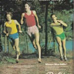 1978 Dolfin Advertisement