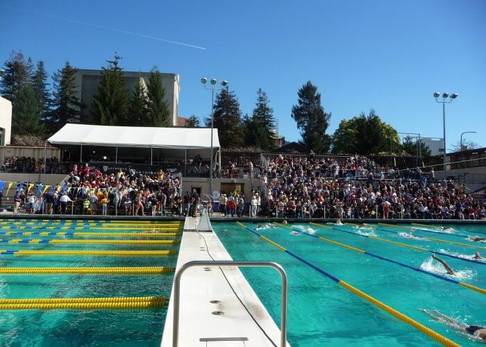 crowd-fans-california