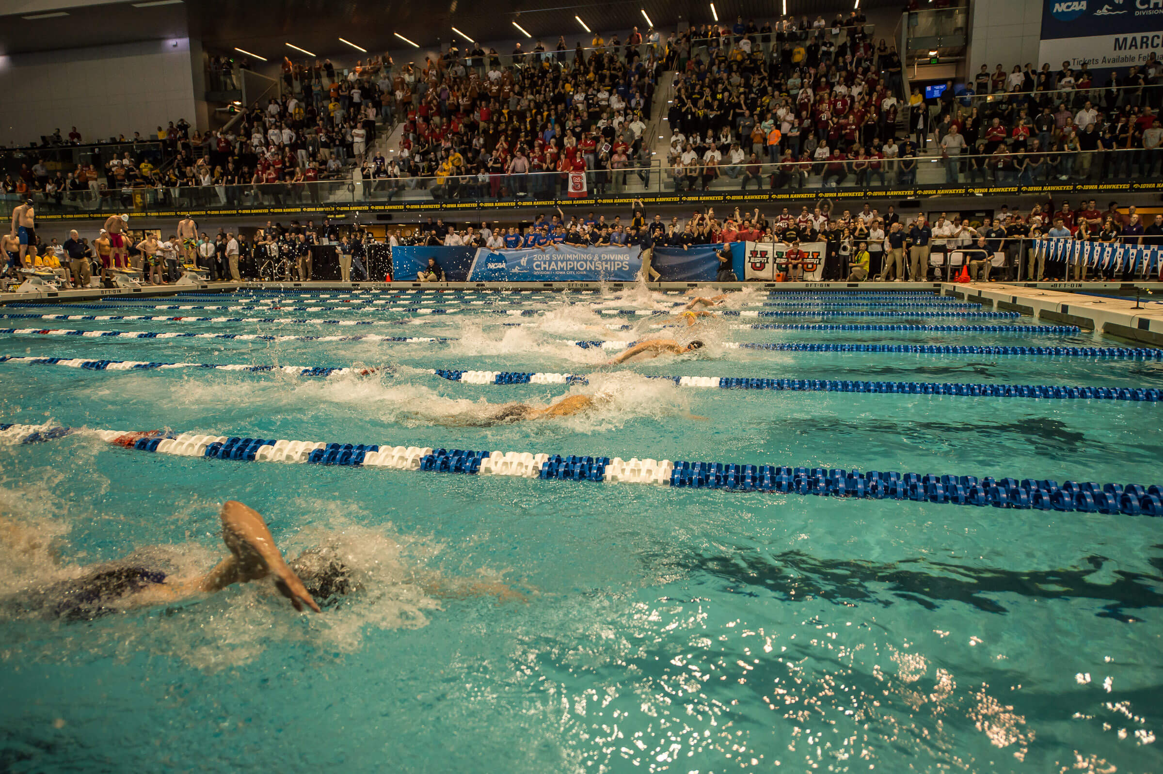NCAA Sets 202021 Division I Swimming and Diving Qualifying Standards