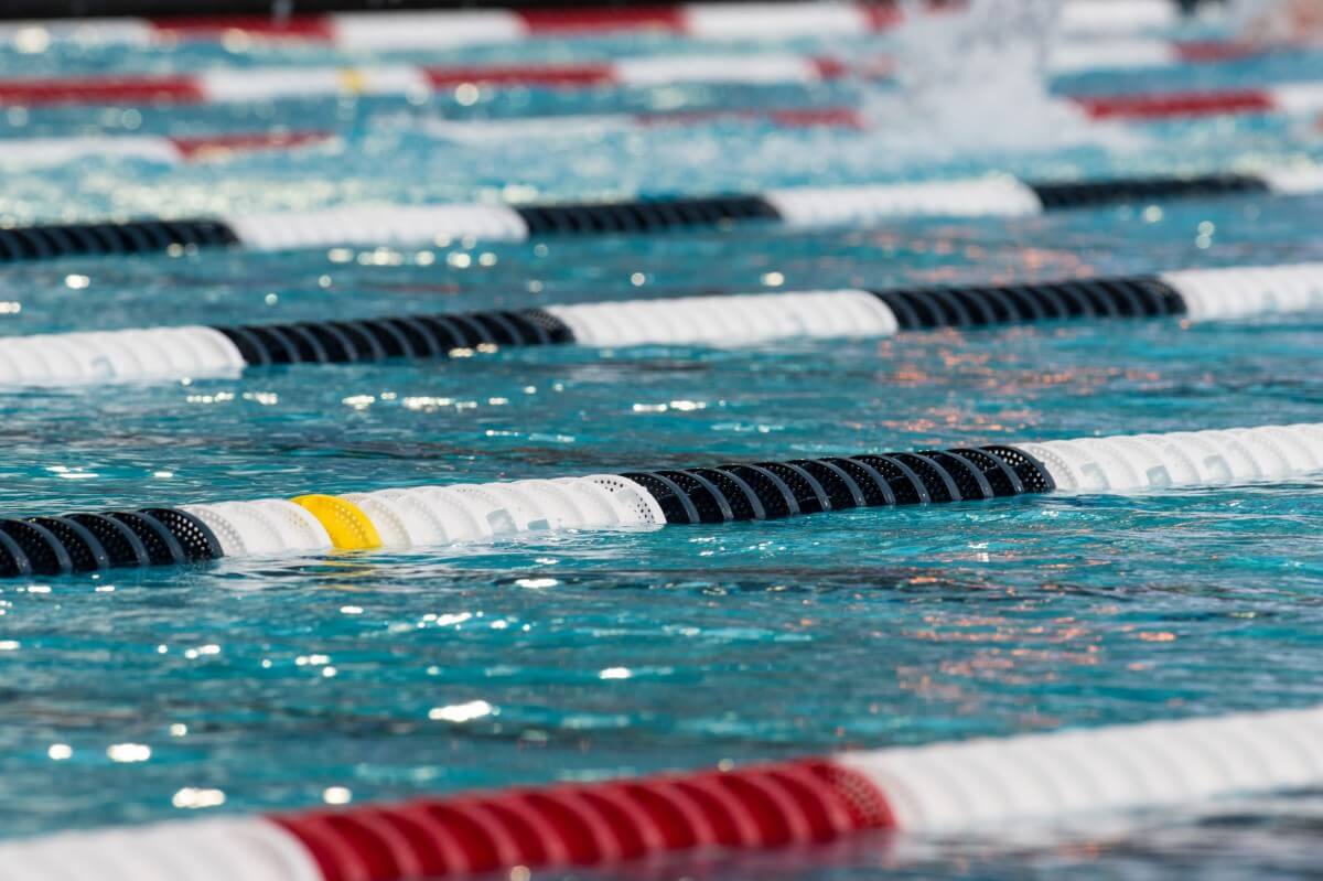 FINA Appoints Committee to Temporarily Run Philippine ...