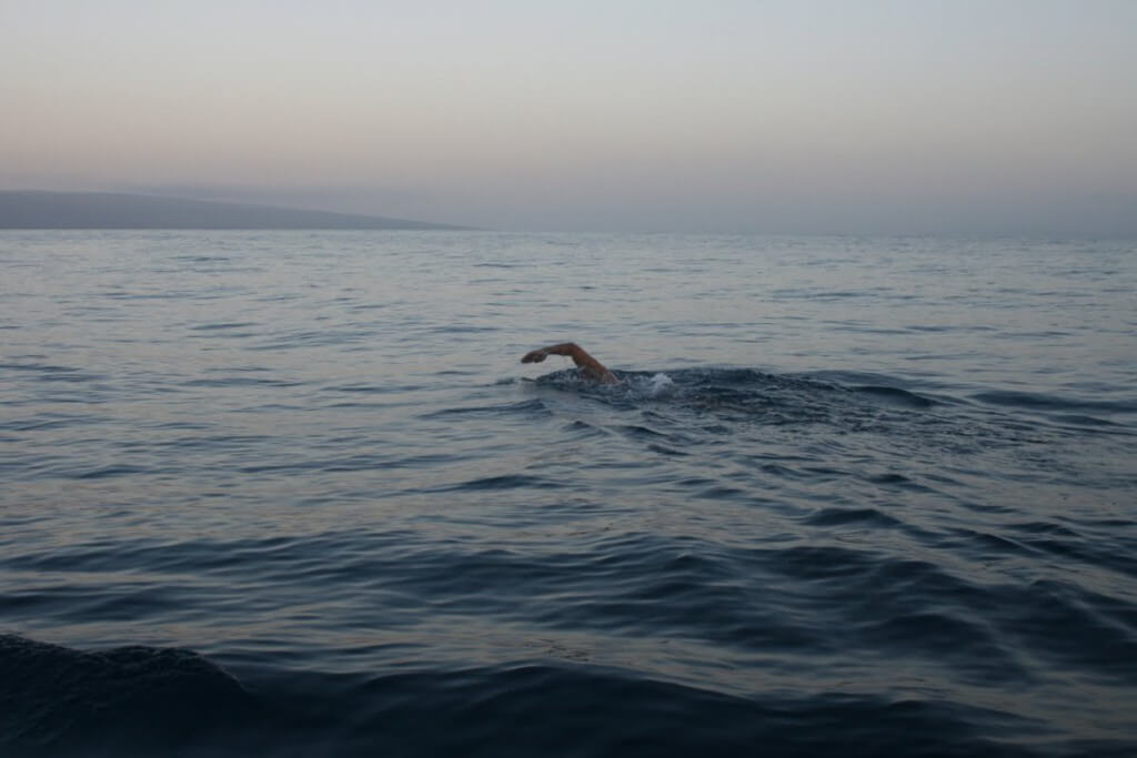 open-water-swimmer