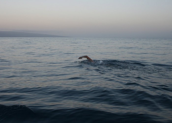 open-water-swimmer