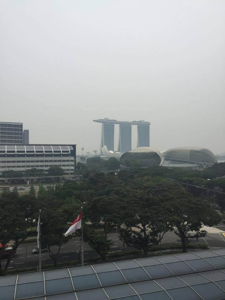 2015-fina-world-cup-singapore-haze (2)