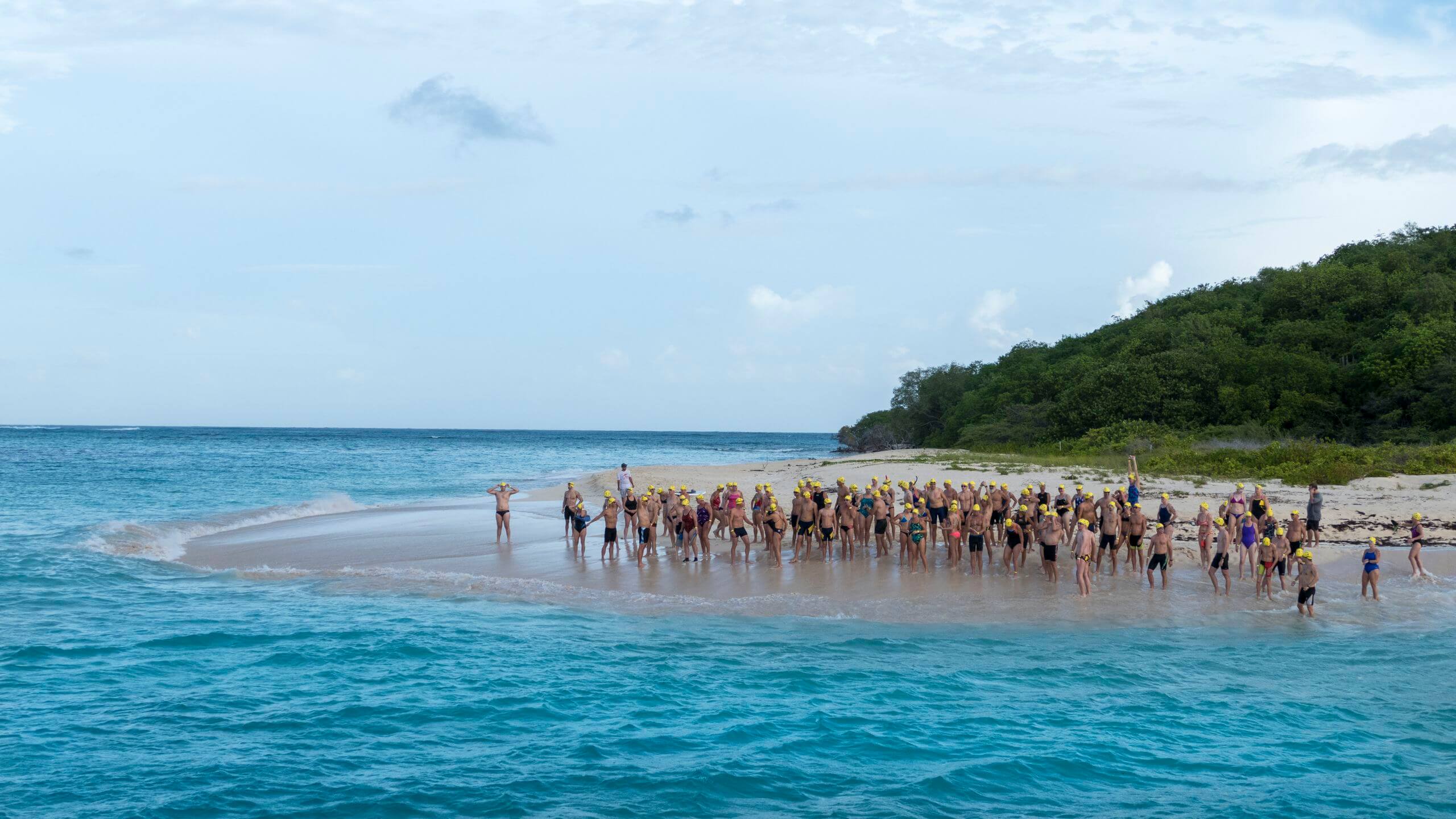 Coral Reef Swim