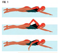 Swimming Technique Misconceptions: Arm Coordination