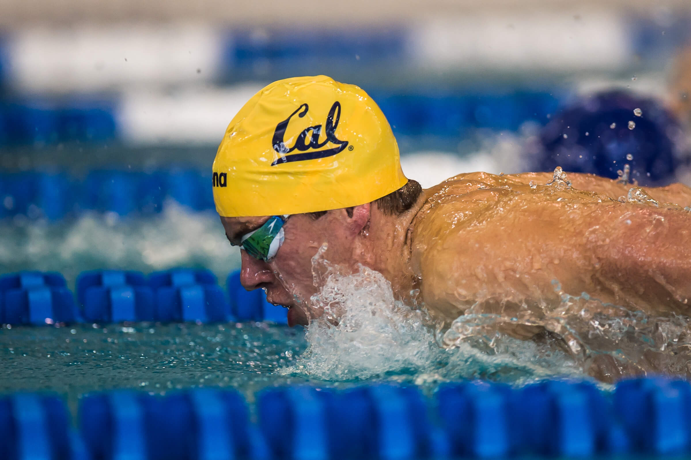 Swimming championships