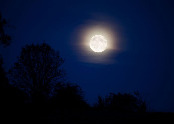 moonlight-landscape-11287160000RlIy