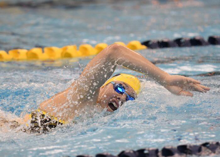 10/8/16 2016-15 Women's Swimming and Diving hosts Louisville. SDW 2016-17 Win 274-196 Session 2