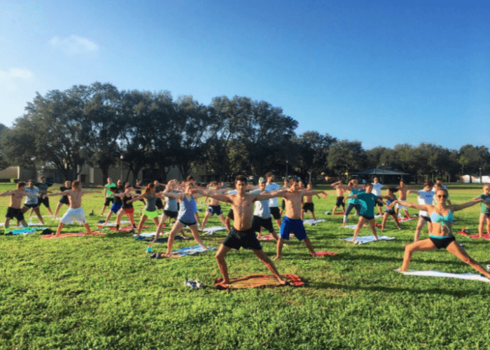 team-stretching-yoga-grass