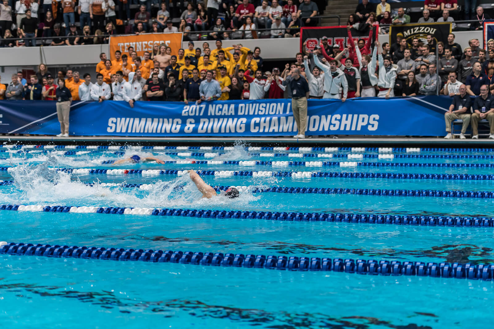 Why You Should Follow the NCAA Swim Meet