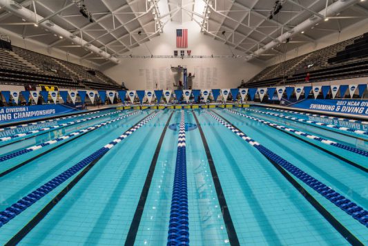 Official Psych Sheets For 2020 NCAA Division I Men's Swimming and ...