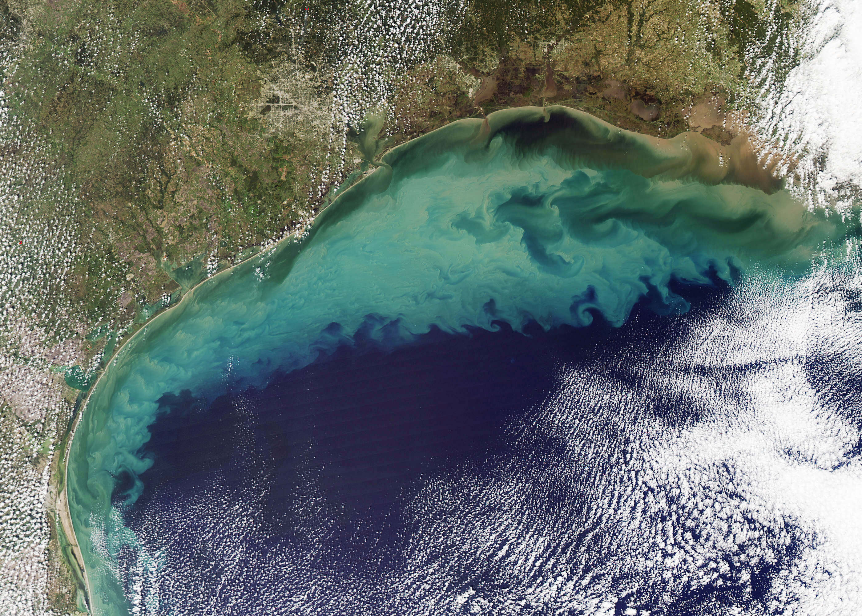 Texas Man Dies from FleshEating Bacteria After Swimming in Gulf of