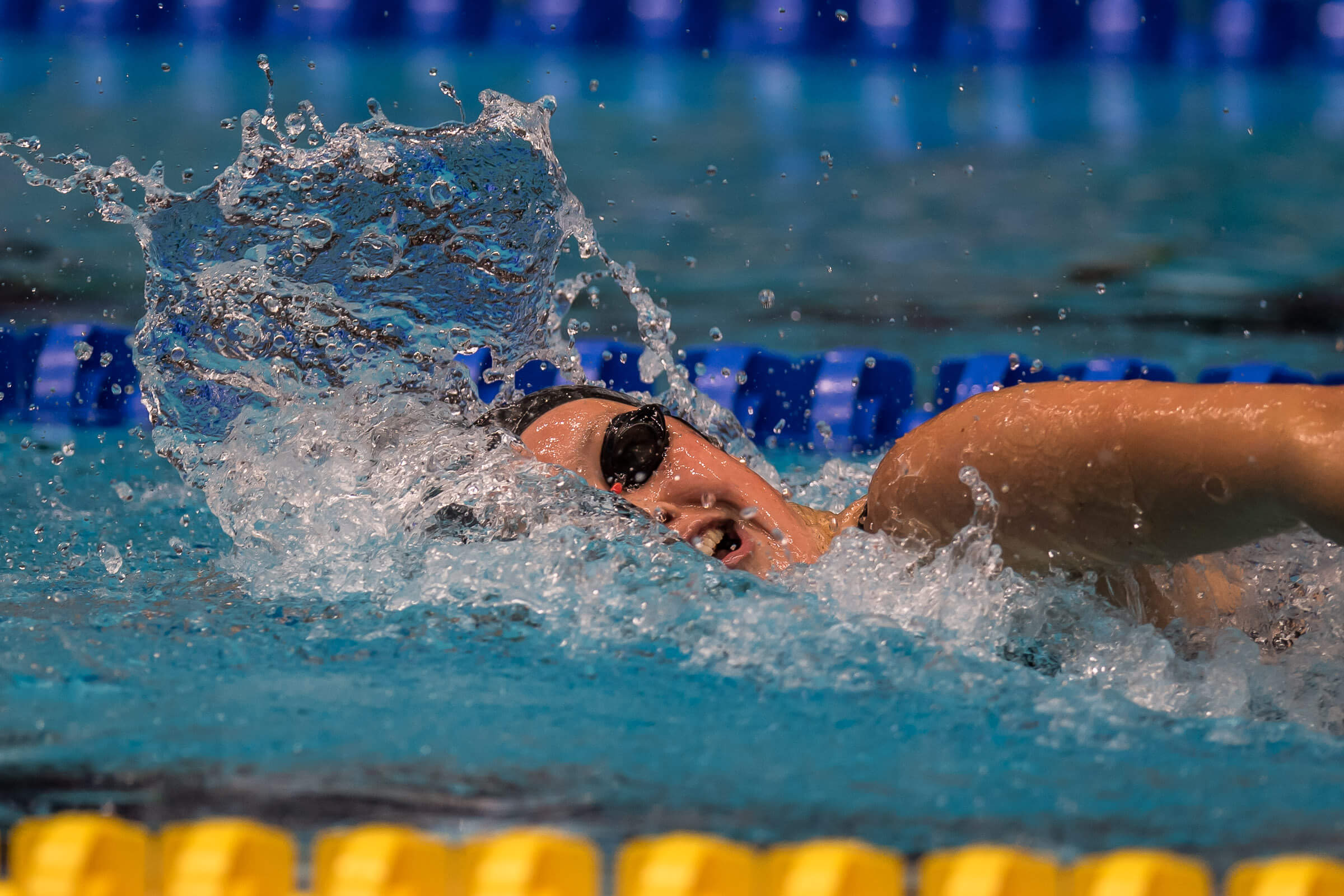 Leah Braswell, Ross Dant Claim 1000 Free Titles at YMCA Nationals