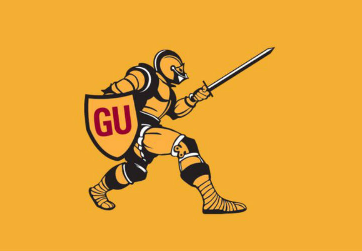 gannon-university-logo