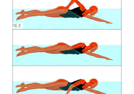 A Closer Look at Technique Misconceptions: Front Quadrant Swimming ...