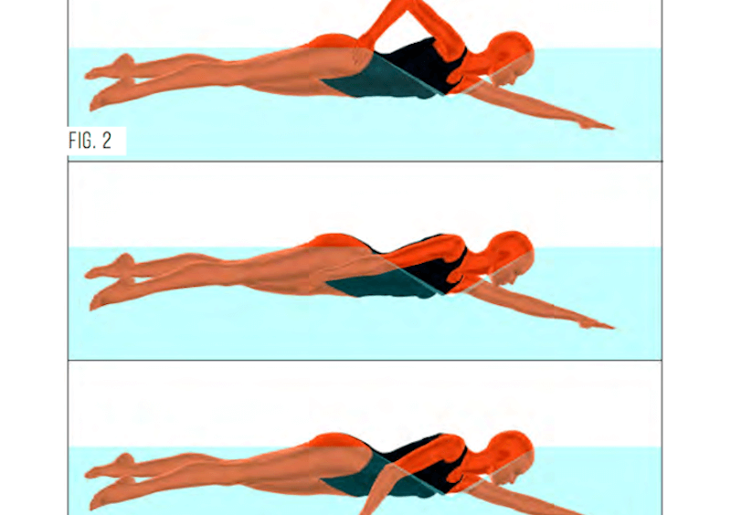 front-quadrant-swimming-diagram