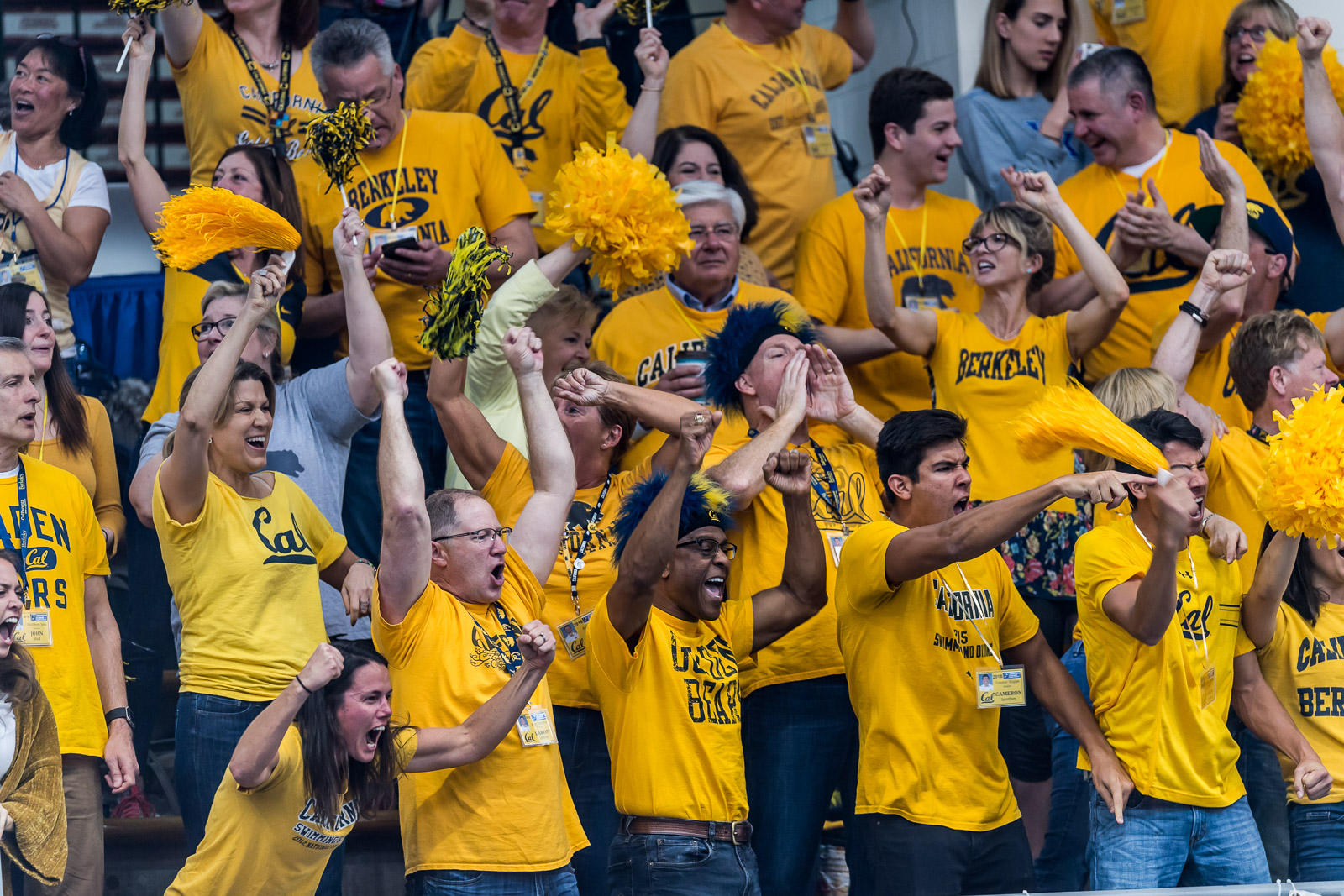 Swimming World's Predictions for the 2019 Men's NCAAs: Part One ...