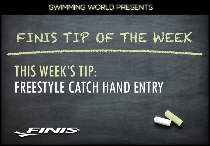finis-tip-of-week-hand-entry