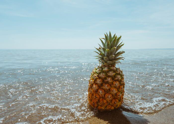 beach-fruit-horizon-139229