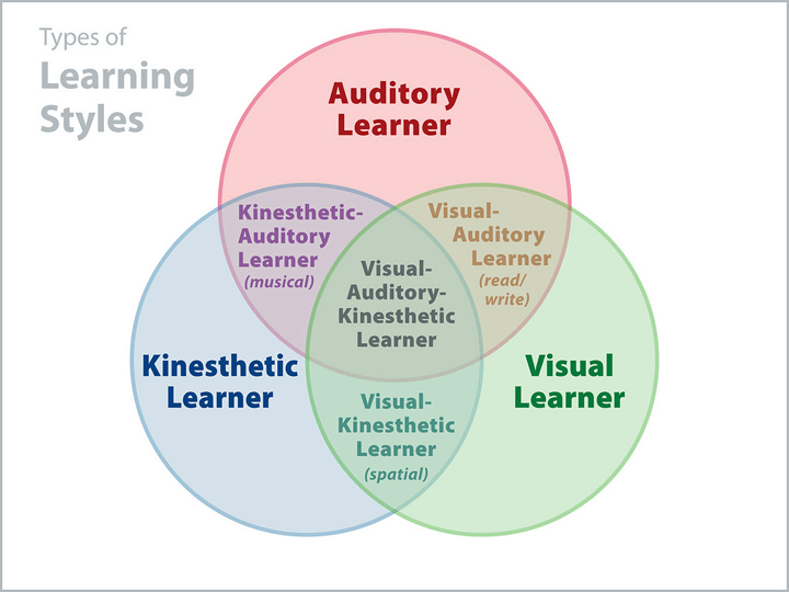 NO ONE Is An Auditory Kinesthetic Or Visual Learner