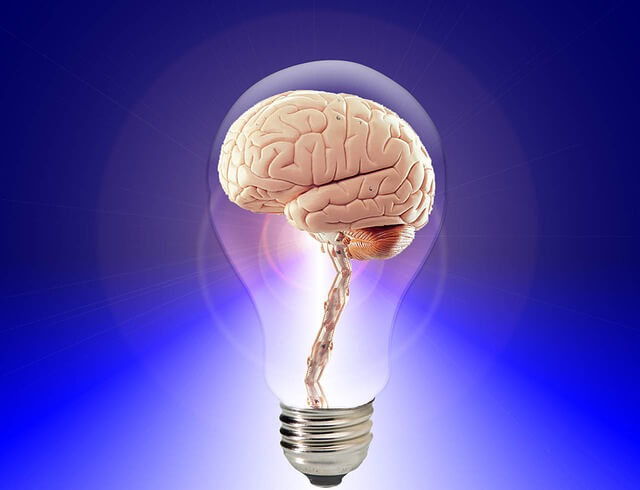 Creative Intelligence Mind Idea Think Human Brain
