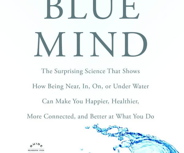 Are You Blue? Dive In To Find Out The Benefits Of Blue Mind - Swimming ...