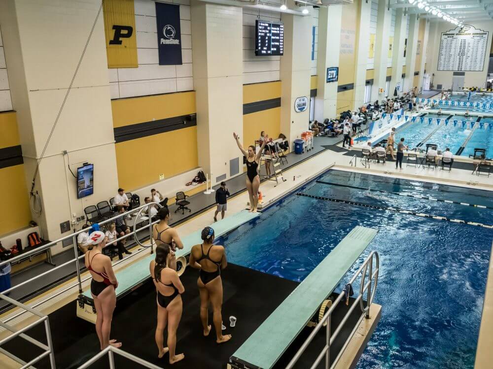 USA Diving Reveals 2019 Tier Two Squad Swimming World News