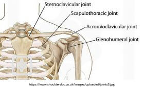 What You Should Know About Swimmer’s Shoulder