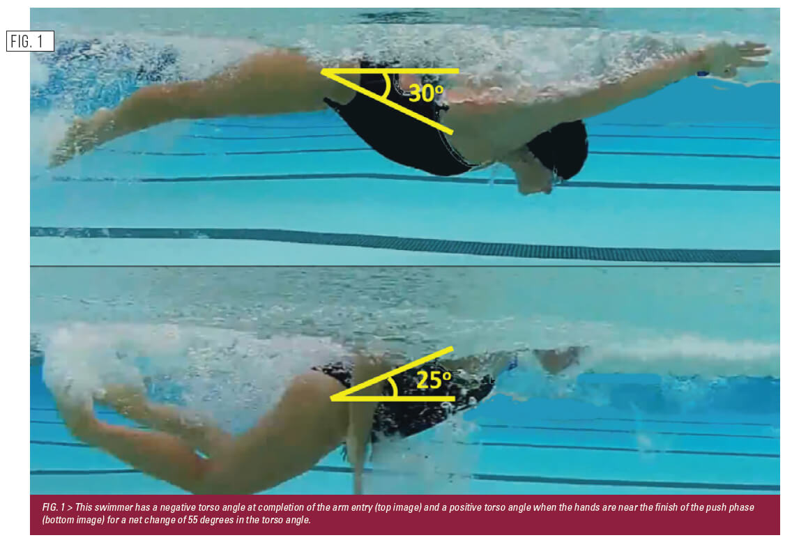 Swimming Technique Concepts: Development of an Optimal Model For Technique