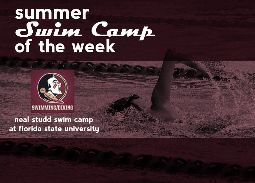 Neal Studd Swim Camp Florida State University