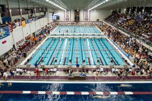 Texas A&M pool swim camp