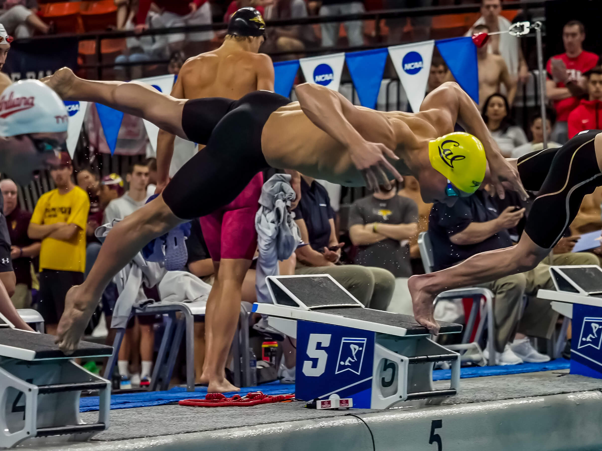 2019 Men's NCAA Swimming Champs Day 4 AM: Cal Poised For NCAA Title