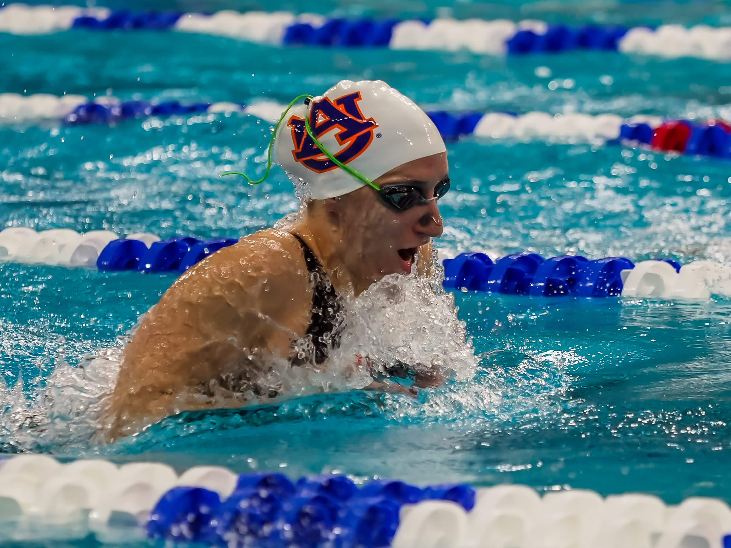 Auburn Swimming and Diving Holds Off Georgia Tech - Swimming World News