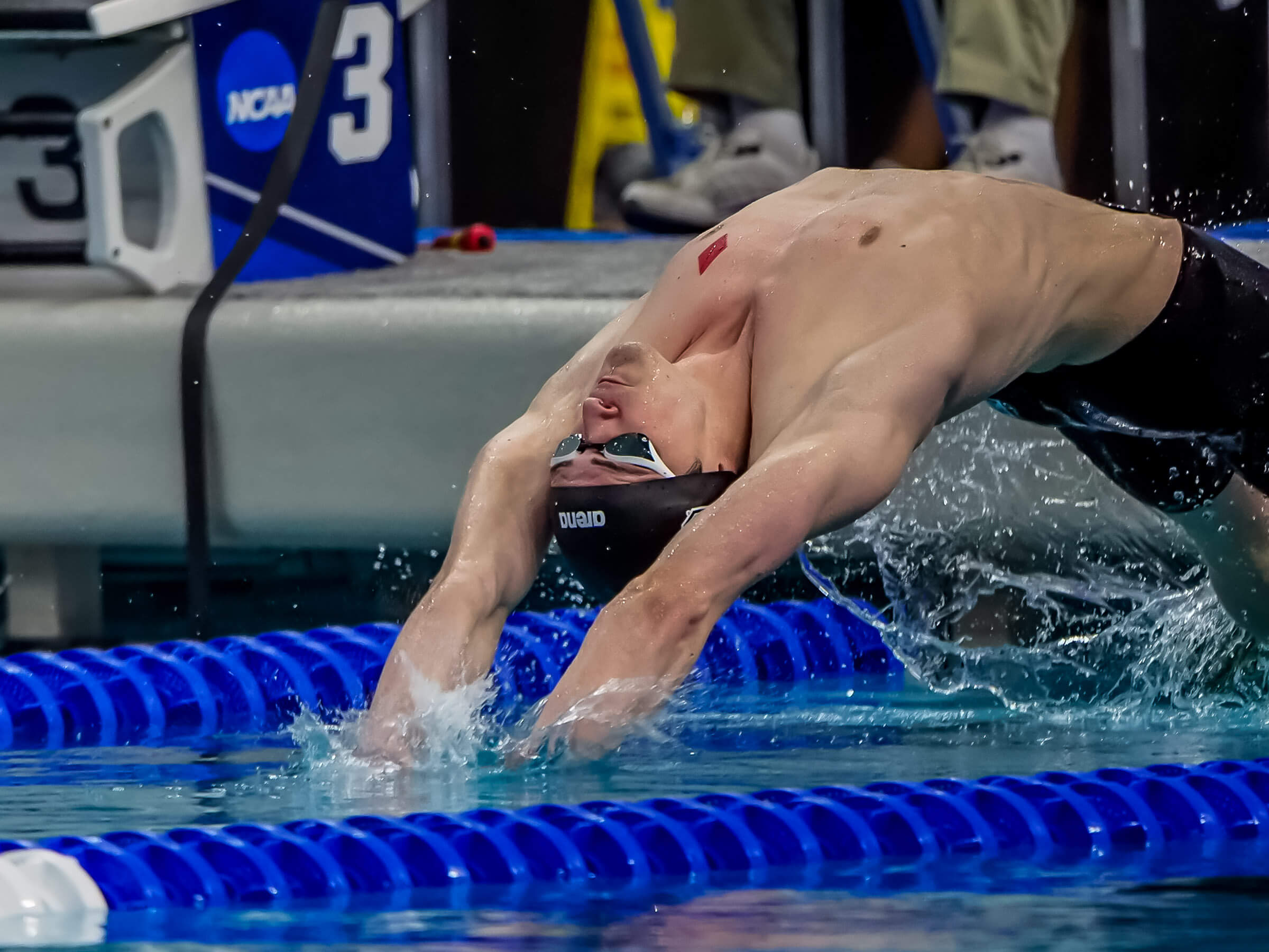 2020 ACC Mens Swimming Championships Day 3 Finals Stewart, Somov Go 3-for-3