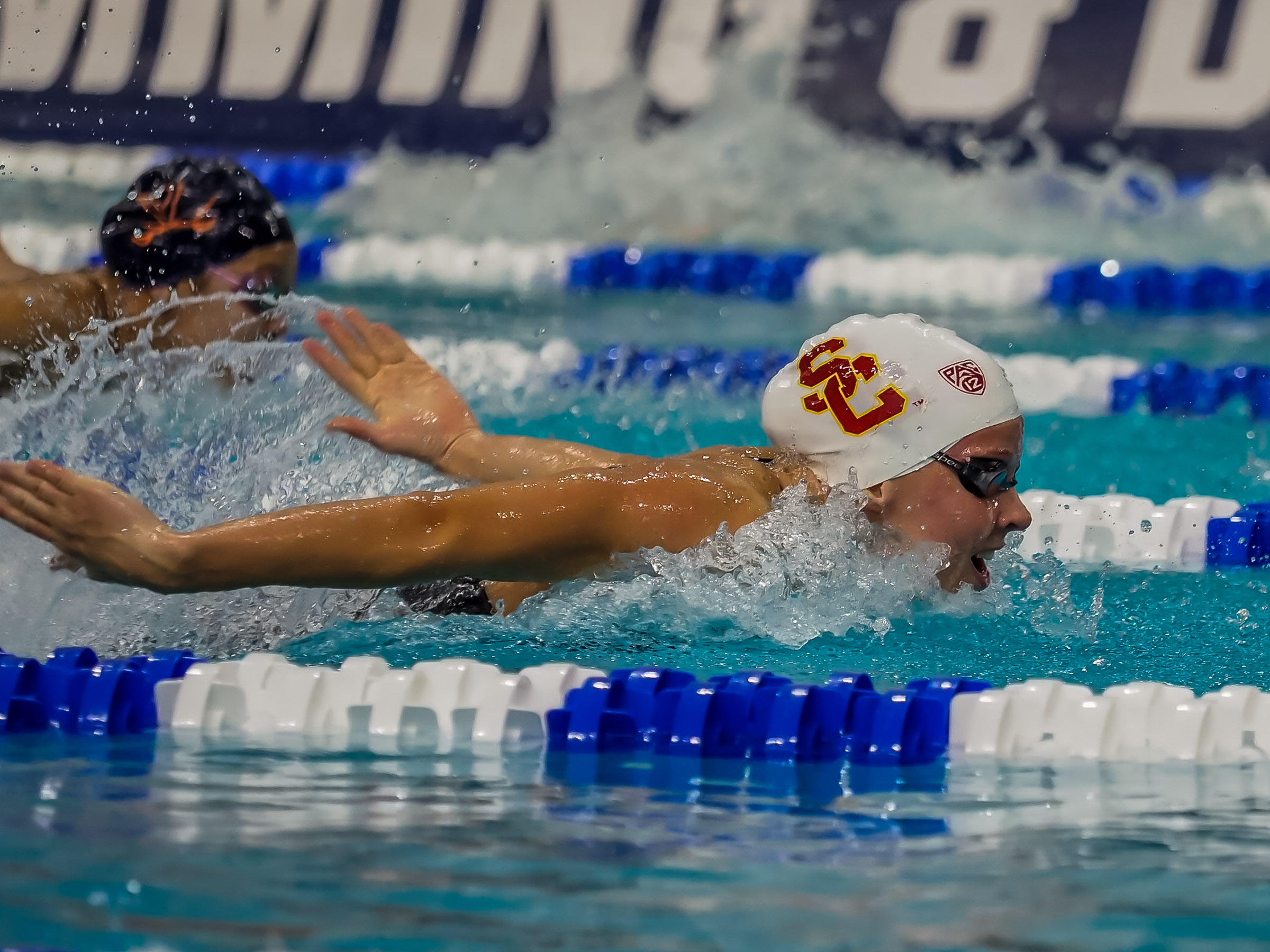 She swim fast. Луиза Хансон плавание. Шведский пловец. Louise Hanson плавание. Swedish swimming.