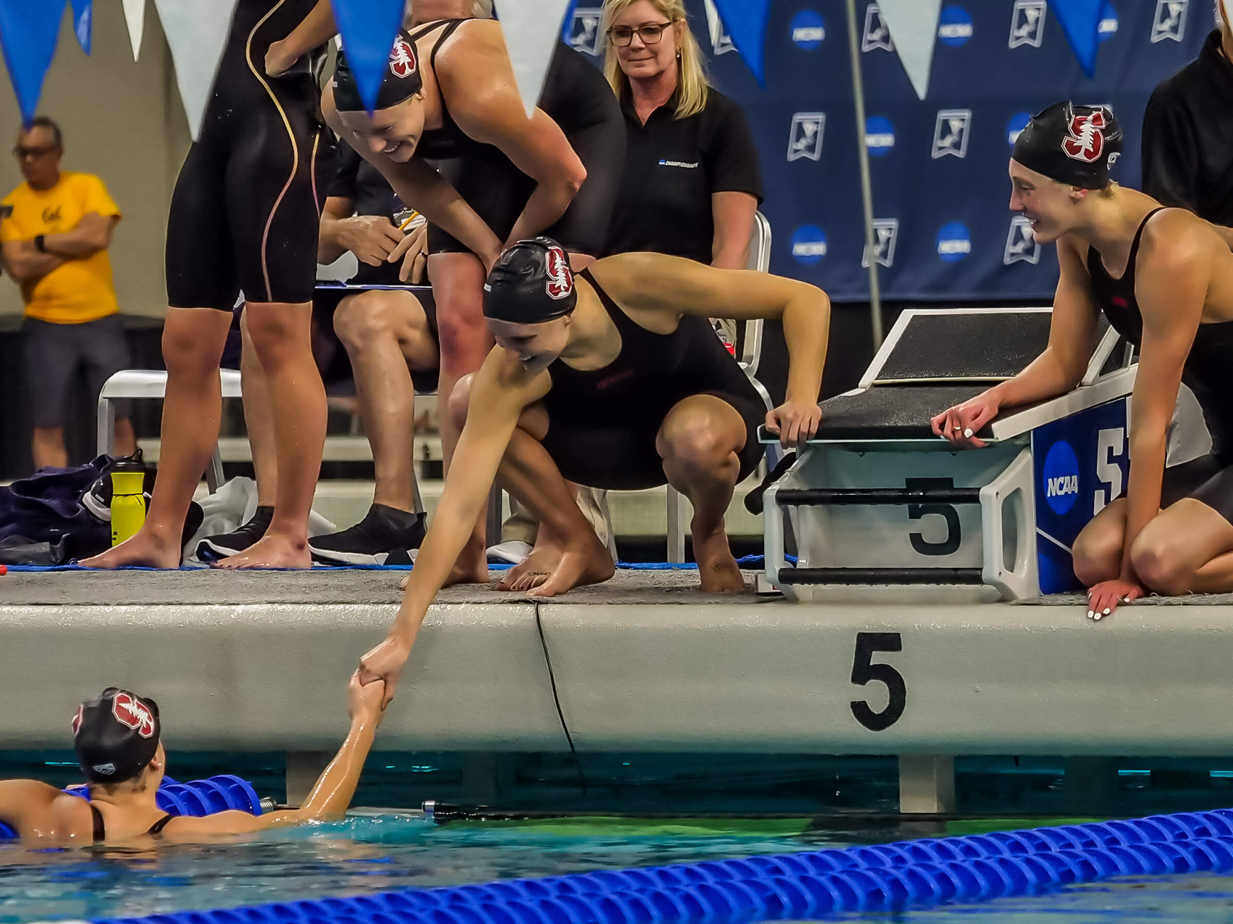 2019 NCAA Division I Women's Swimming and Diving Championships: Stanford  Stomps on 800 Free Relay Win - Swimming World News
