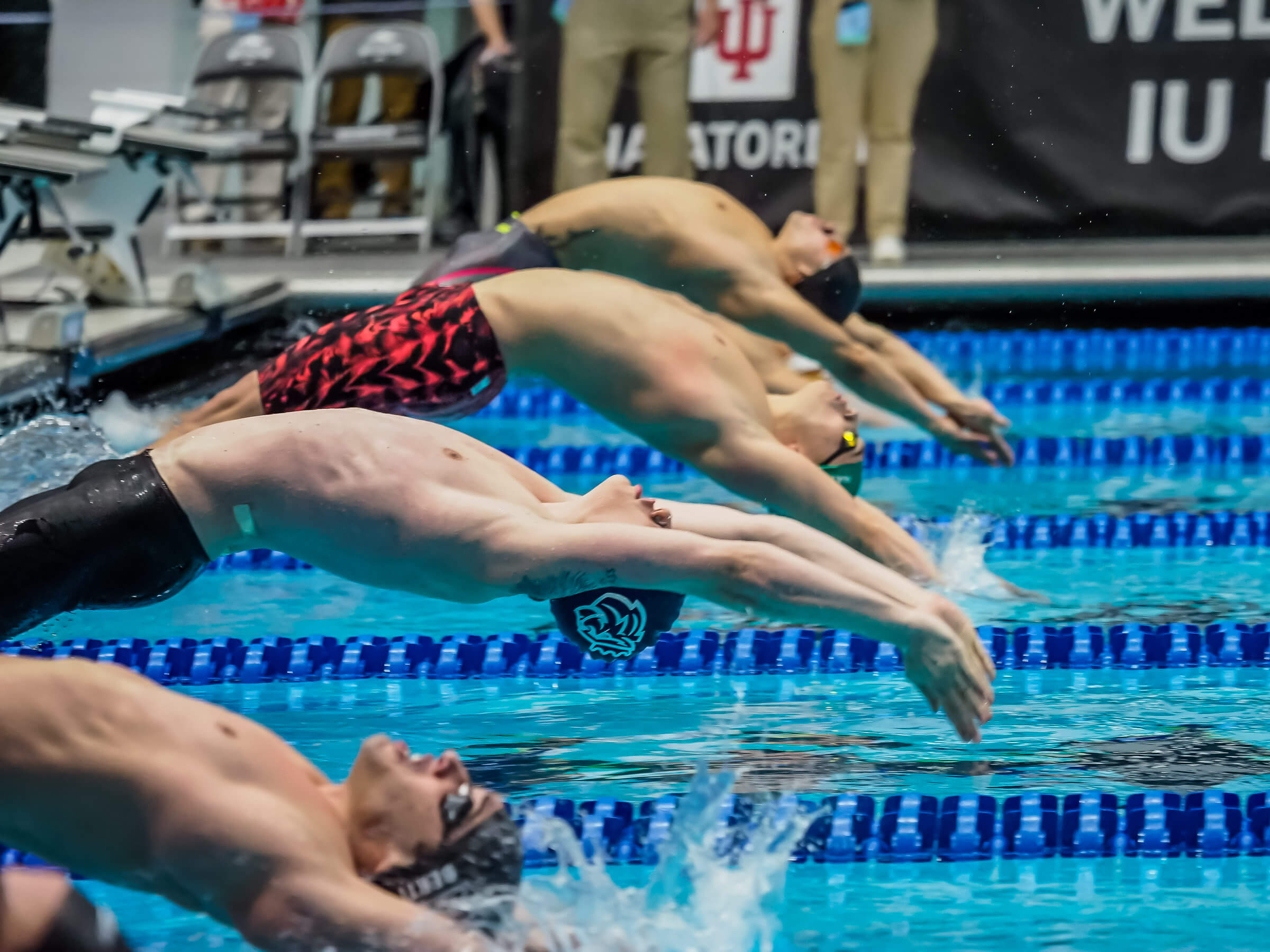 2019 NCAA Division II Swimming and Diving Championships: Lapshina, Kusch  Narrowly Miss NCAA Records - Swimming World News