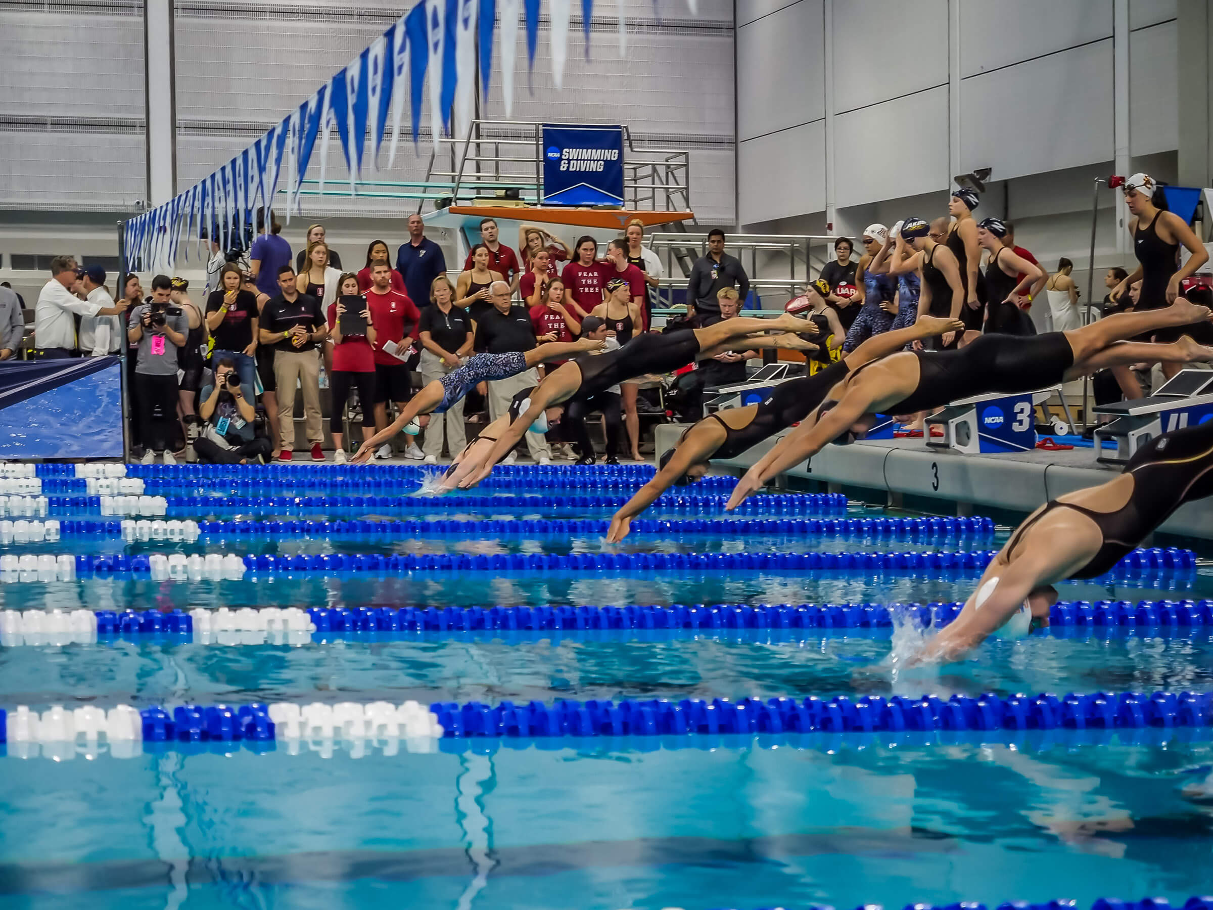 Women's Swimming Ranked 23rd in CSCAA National Poll - Washington and Lee  University