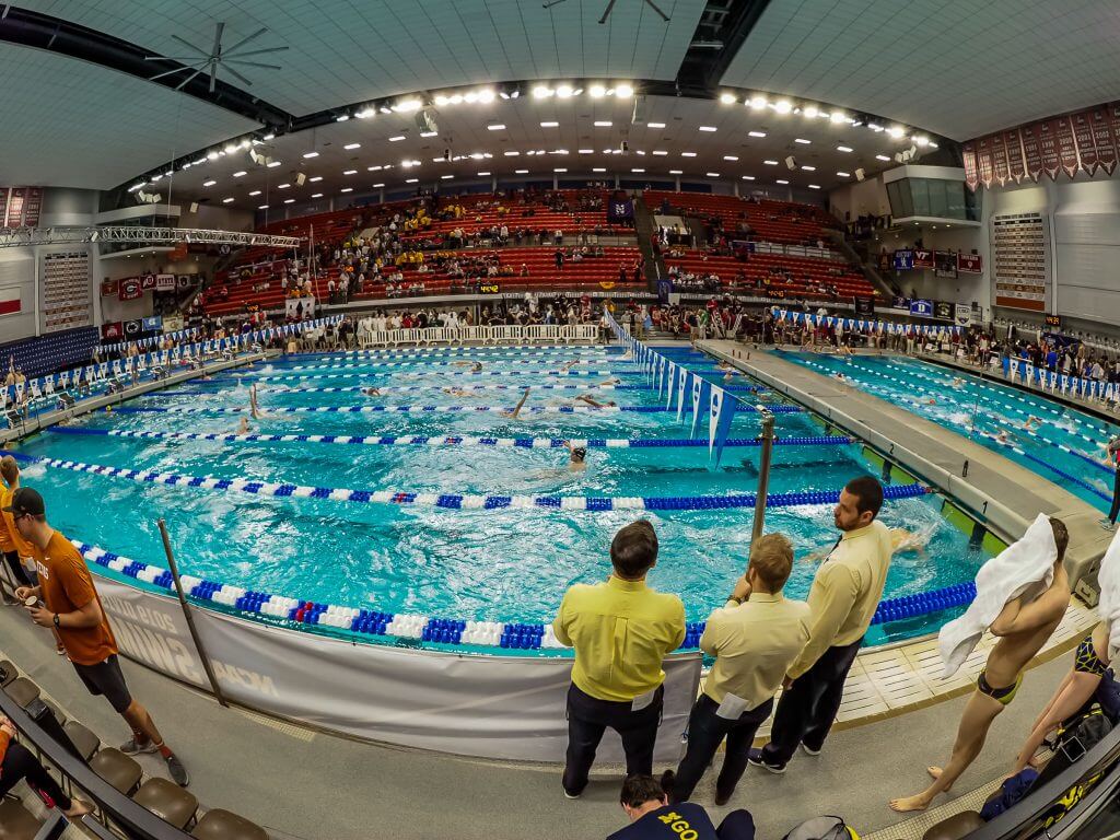 2019 men's ncaa swimming championships
