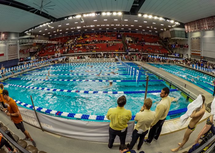 2019 men's ncaa swimming championships